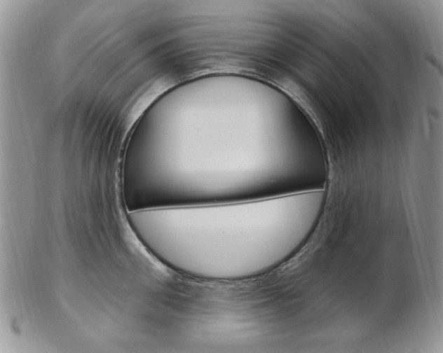 X0000103170906200808221125