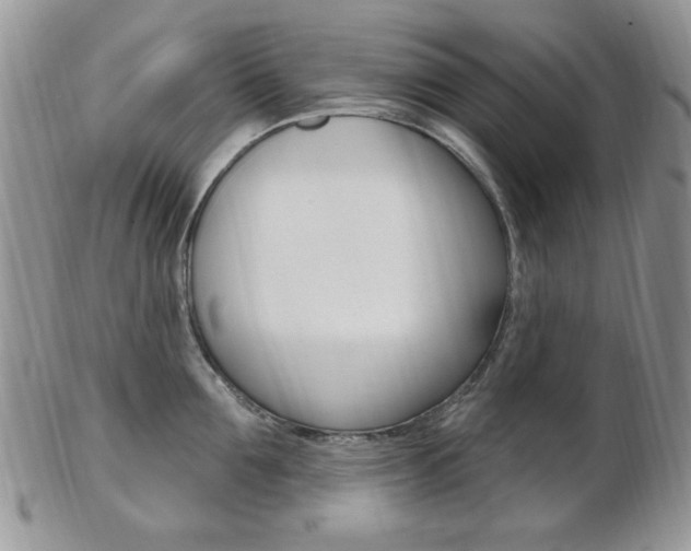 X0000103170907200808221125
