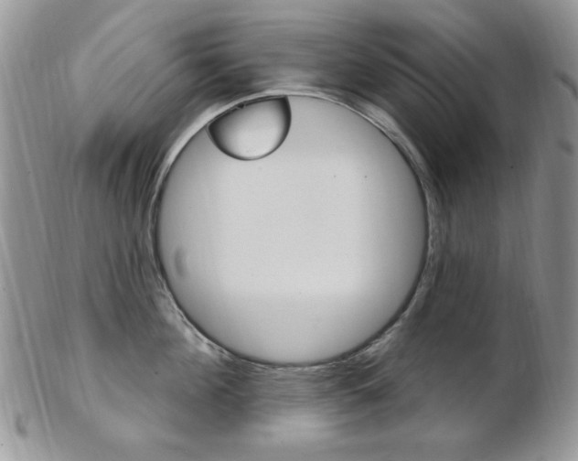 X0000103170908200808221125