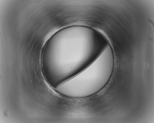 X0000103170910200808221125