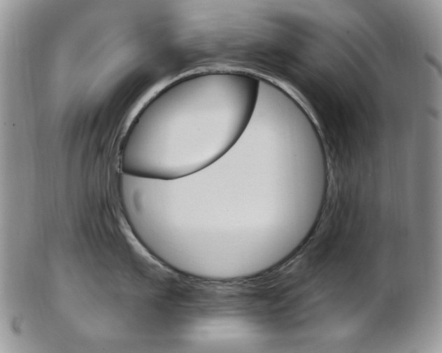 X0000103170911200808221125