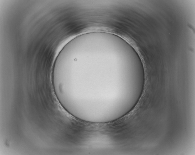 X0000103170912200808221125