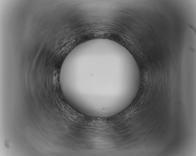 X0000103170914200808221124