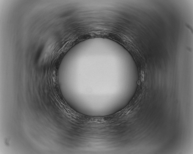 X0000103170915200808221124