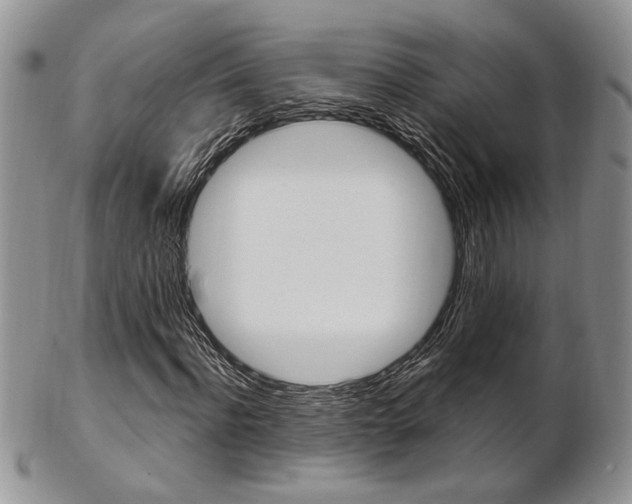 X0000103170916200808221124