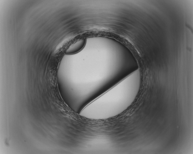 X0000103170919200808221124