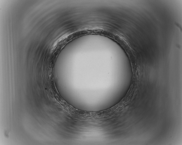 X0000103170920200808221124