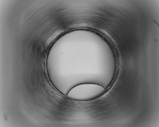 X0000103170921200808221124