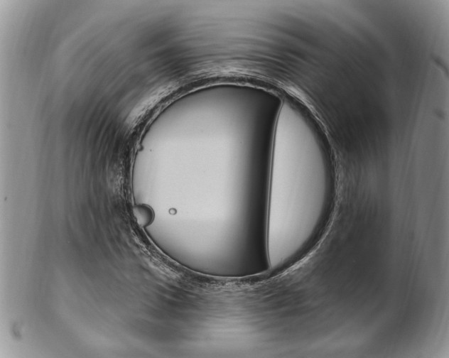 X0000103170922200808221125
