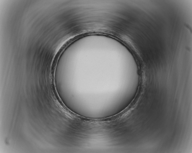 X0000103170924200808221125