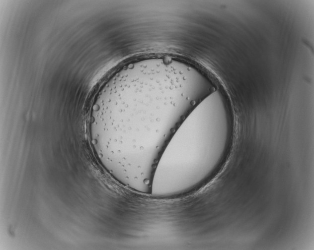 X0000103170925200808221125