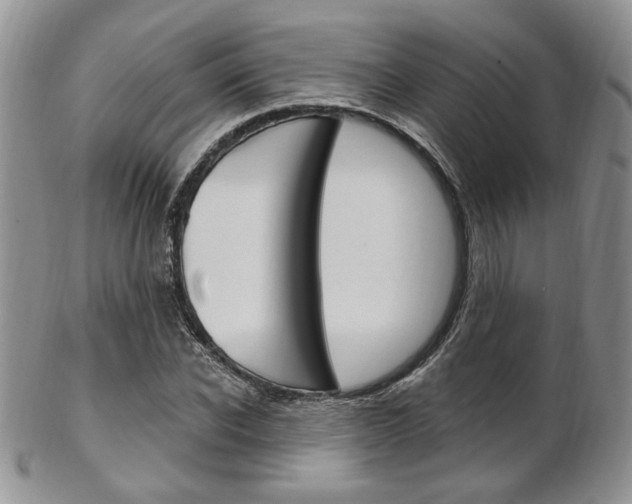 X0000103170926200808221125