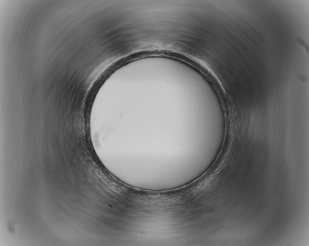X0000103170927200808221125
