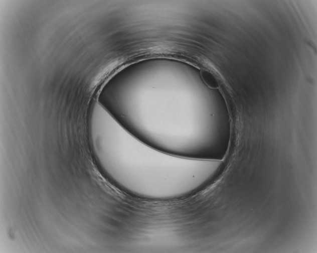 X0000103170930200808221125