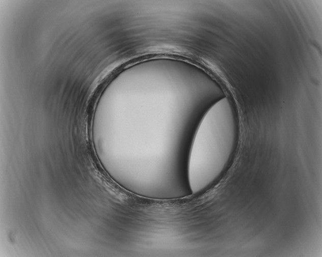 X0000103170931200808221125