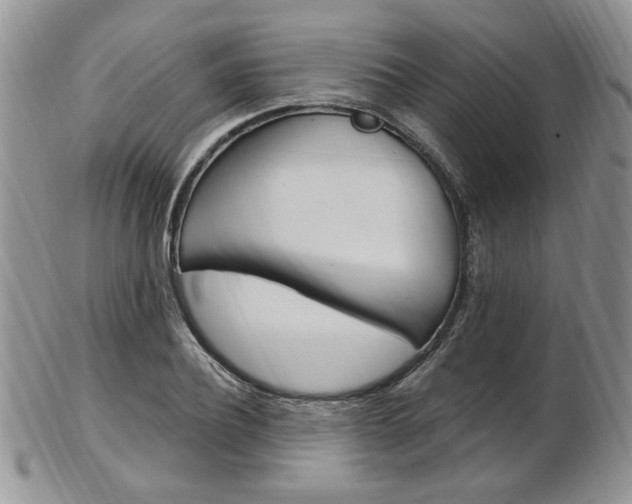 X0000103170932200808221125