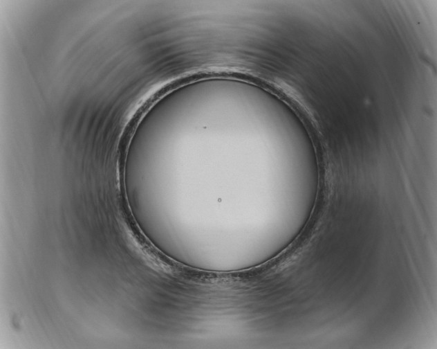 X0000103170934200808221125