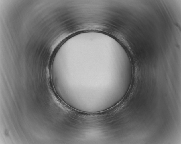X0000103170936200808221125