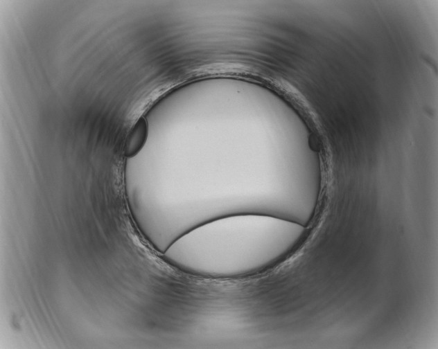 X0000103170937200808221125