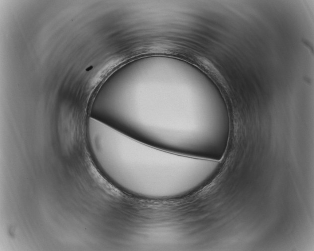 X0000103170938200808221125
