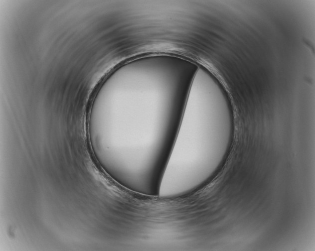 X0000103170939200808221125