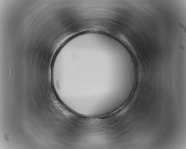 X0000103170940200808221125