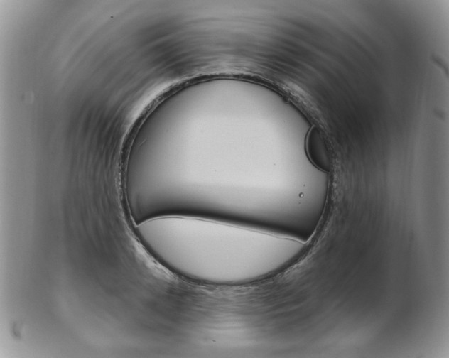 X0000103170942200808221125