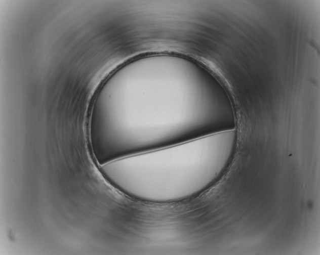 X0000103170943200808221125