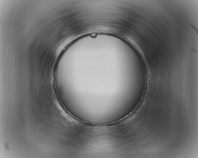 X0000103170944200808221125