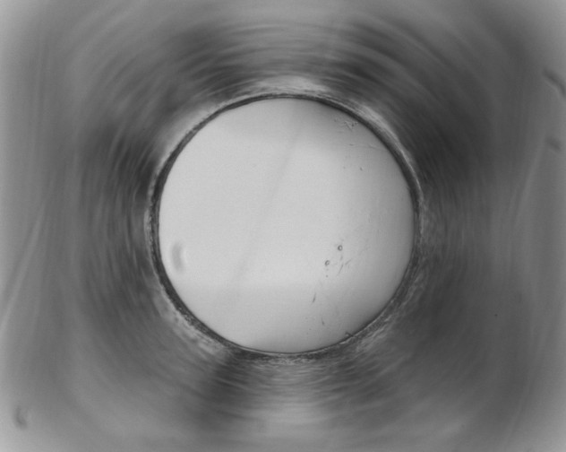X0000103170947200808221125