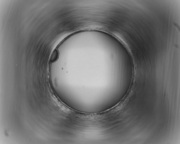 X0000103170948200808221125