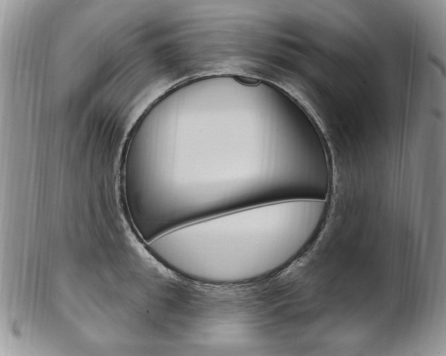X0000103170949200808221125