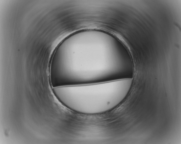 X0000103170951200808221125