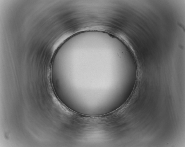 X0000103170952200808221125