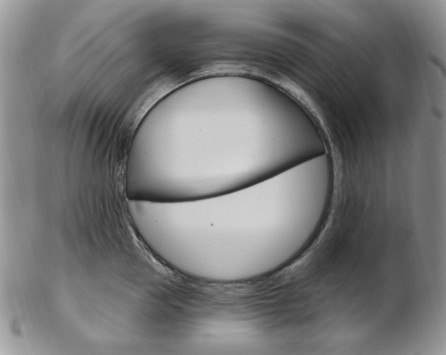 X0000103170953200808221125