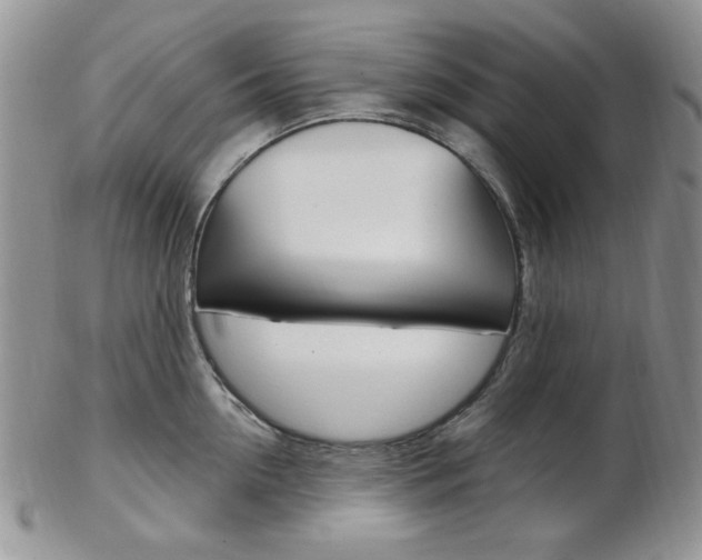 X0000103170954200808221125