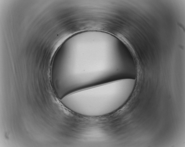 X0000103170956200808221125