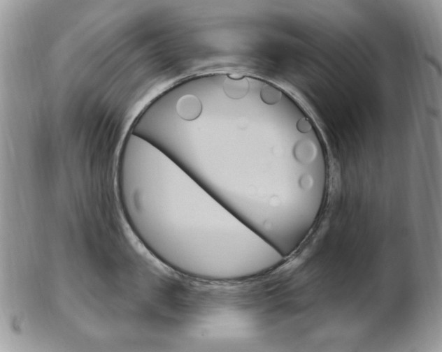 X0000103170957200808221125