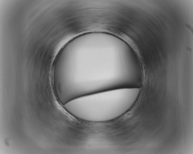 X0000103170958200808221125