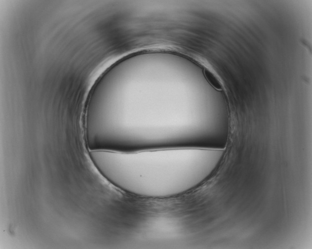 X0000103170959200808221125