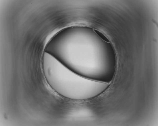 X0000103170960200808221125