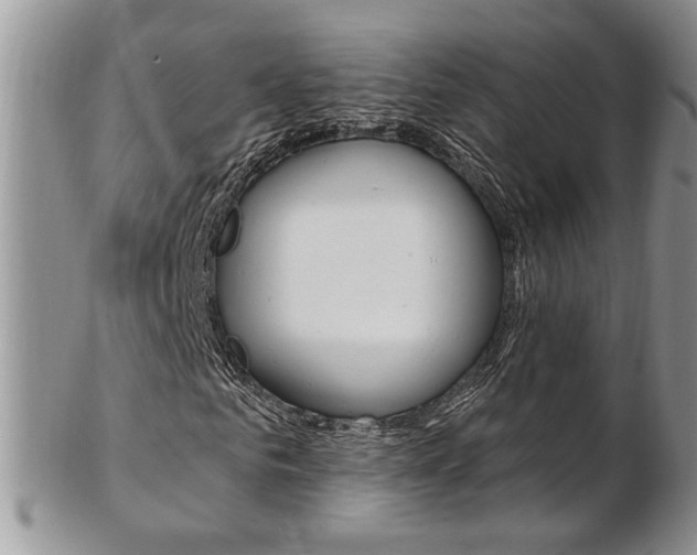 X0000103170961200808221124