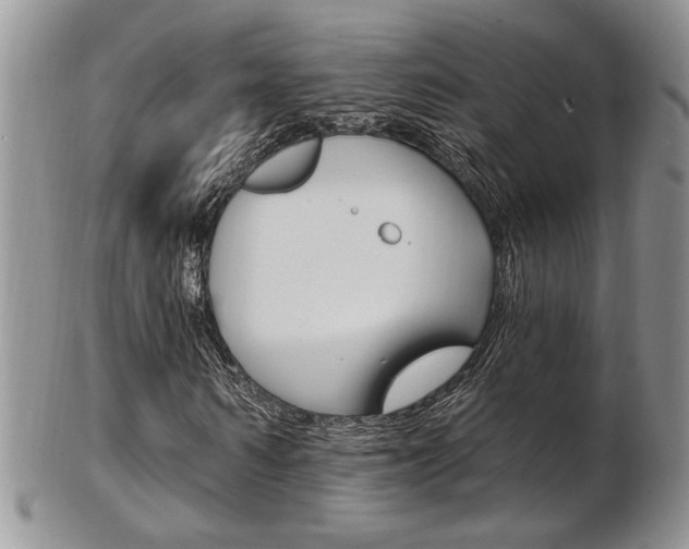 X0000103170962200808221124