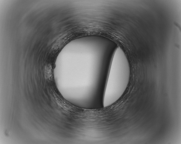 X0000103170963200808221124