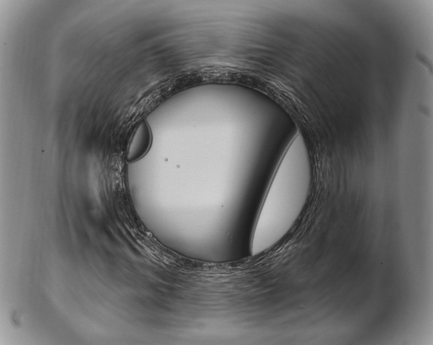 X0000103170964200808221124