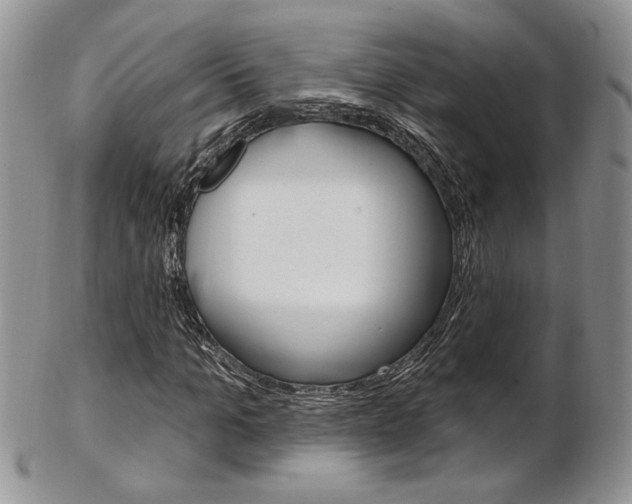 X0000103170965200808221124