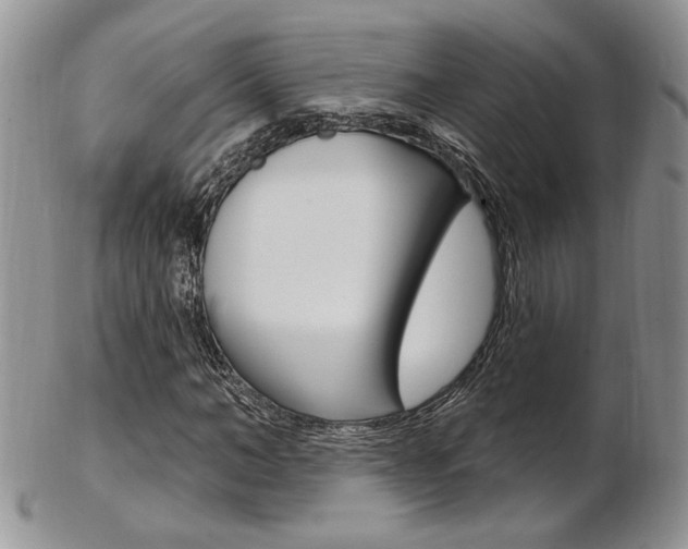 X0000103170966200808221124