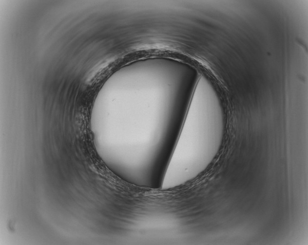 X0000103170967200808221124