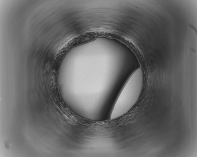X0000103170968200808221124