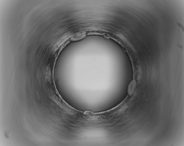 X0000103170969200808221124